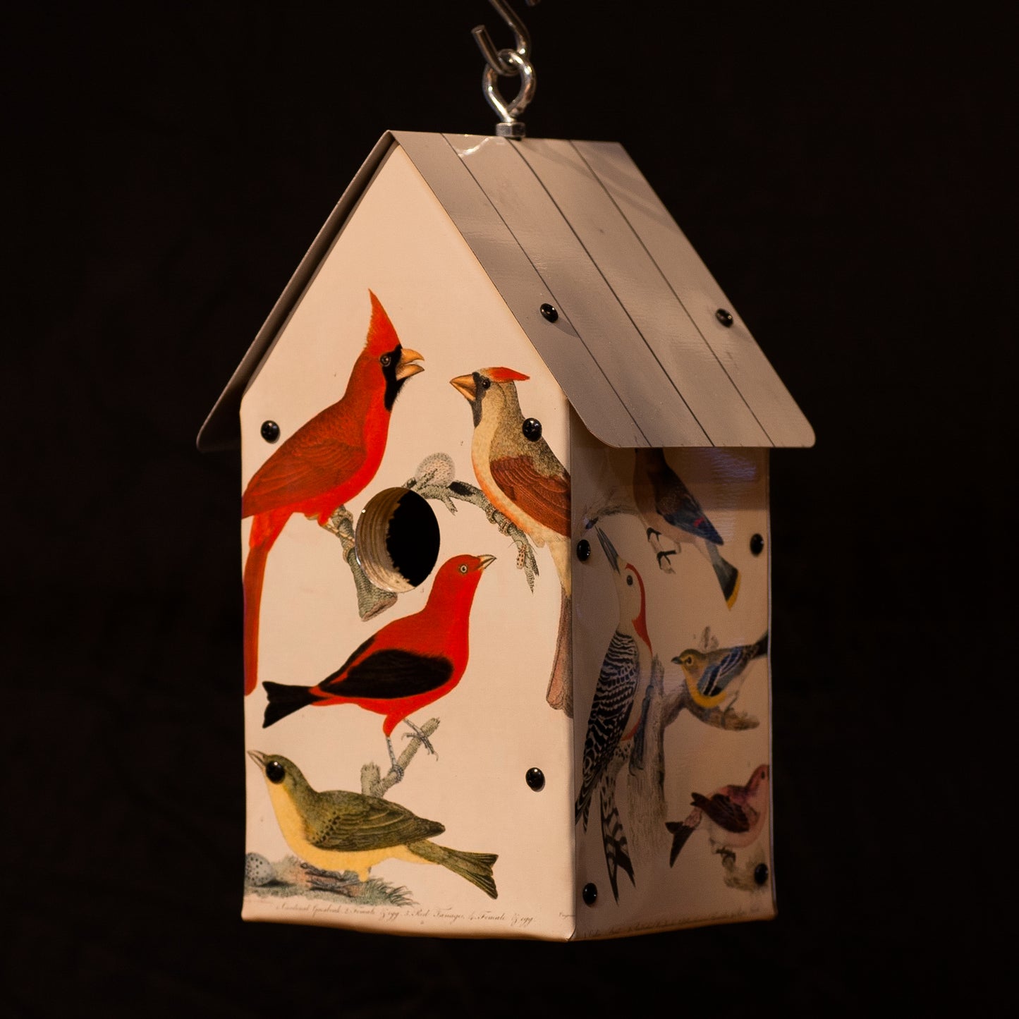 Alexander Wilson Birdhouse