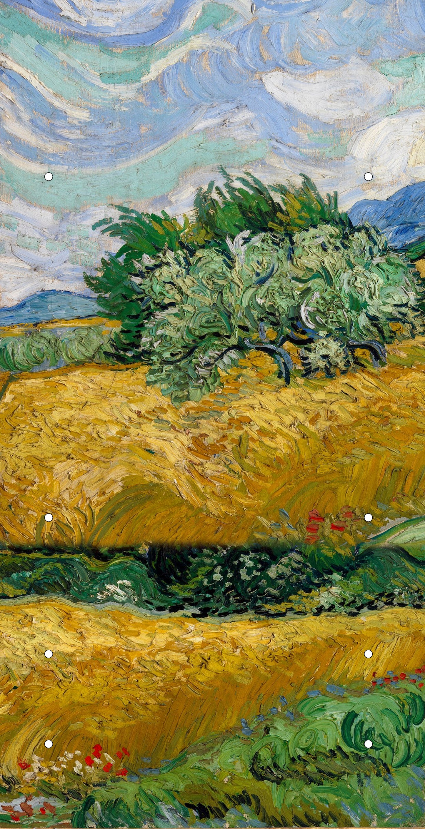 van Gogh: Wheatfield Birdhouse
