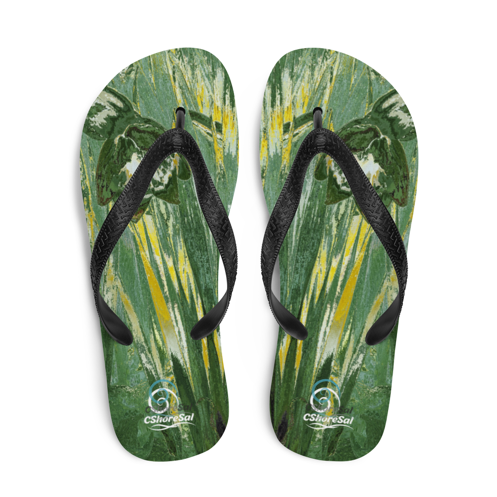 Flip-Flops