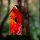 Red Blossoms Birdhouse