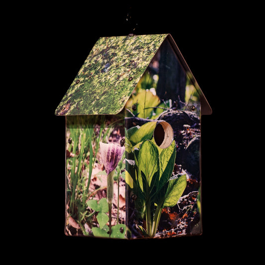 Habitats: Forest Floor Birdhouse