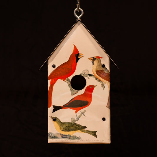 Alexander Wilson Birdhouse