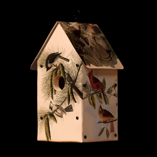 John James Audubon Birdhouse