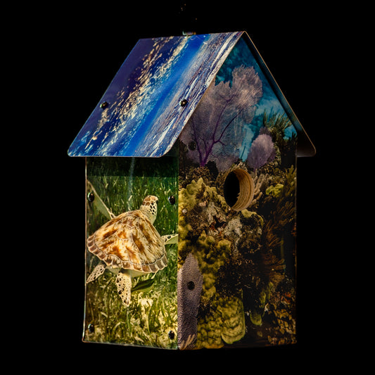 Habitats: Coral Reef Birdhouse