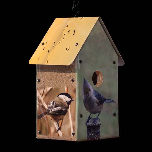 Backyard Birds Birdhouse