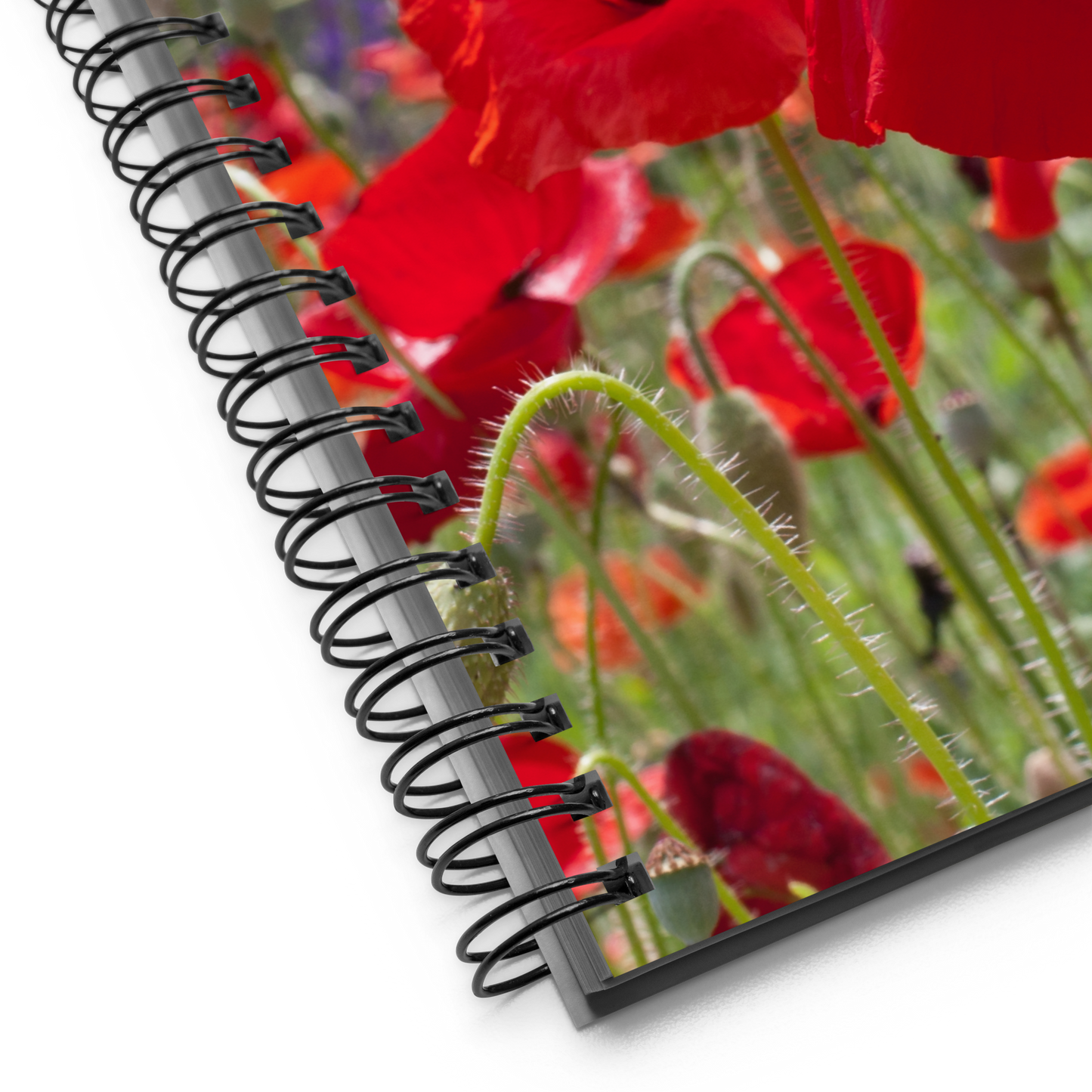 Poppies Garden Spiral Notebook